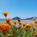 Strand auf Ischia Strand auf Ischia