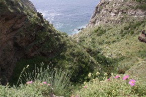 Urlaub auf Ischia